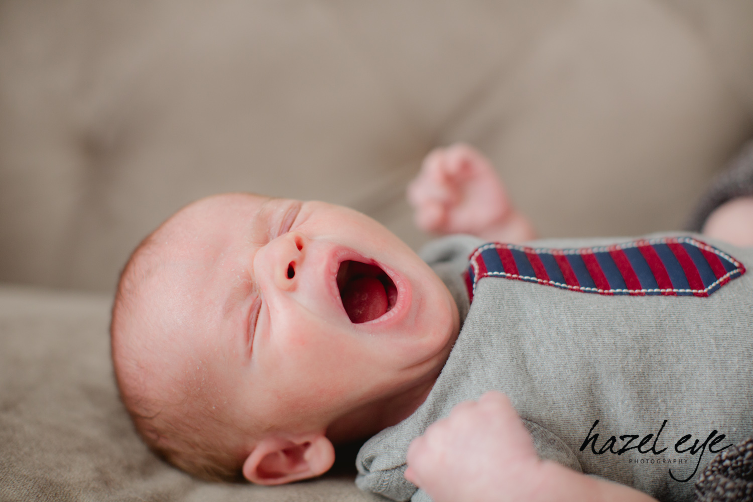 newborn baby photography bloomfield new jersey Best New Jersey Photographer, Best New Jersey Photographers, Best New Jersey Photography, Best New Jersey Wedding Photographer, Best New Jersey Wedding Photographers, Best New Jersey Wedding Photography, Best NJ Photographer, Best NJ Photography, Best NJ Wedding Photographer, Best NJ Wedding Photographers, Hazel Eye Photography, New Jersey Photographers, new jersey photography, New Jersey Wedding, New Jersey Wedding Photographer, New Jersey Wedding Photographers, New Jersey Wedding Photography
